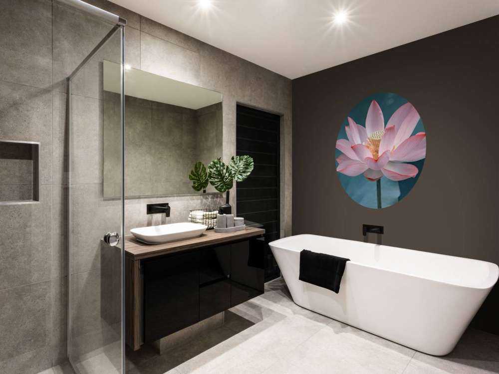 Close-up lotus flower