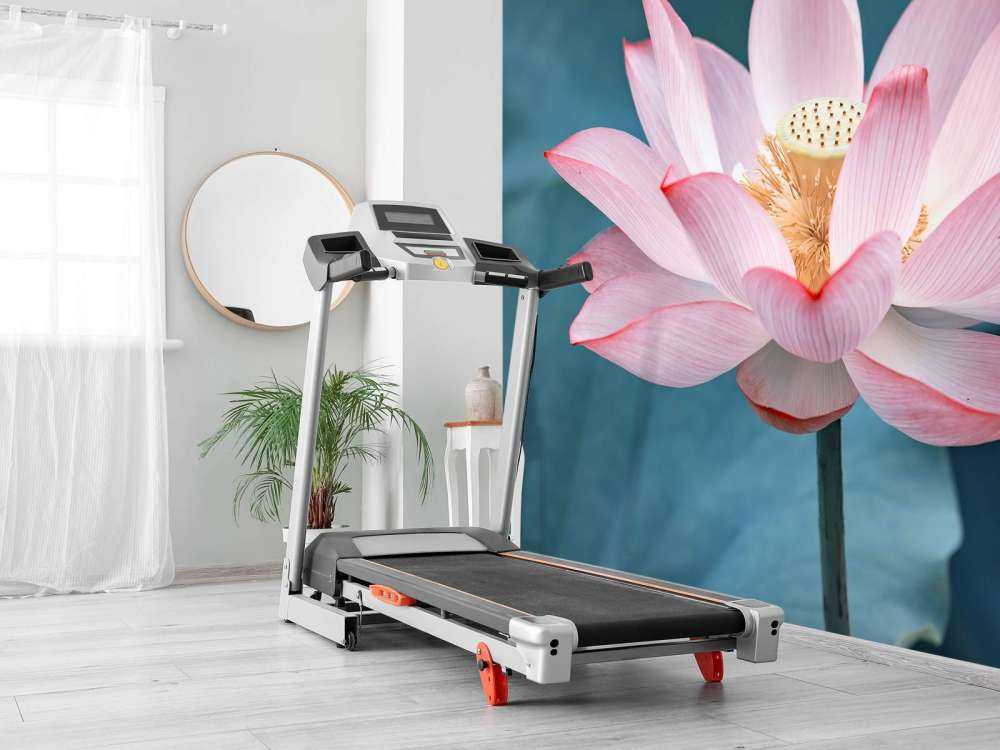 Close-up lotus flower