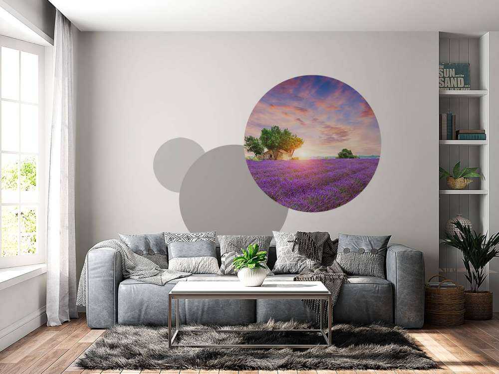 Lavender field during sunrise