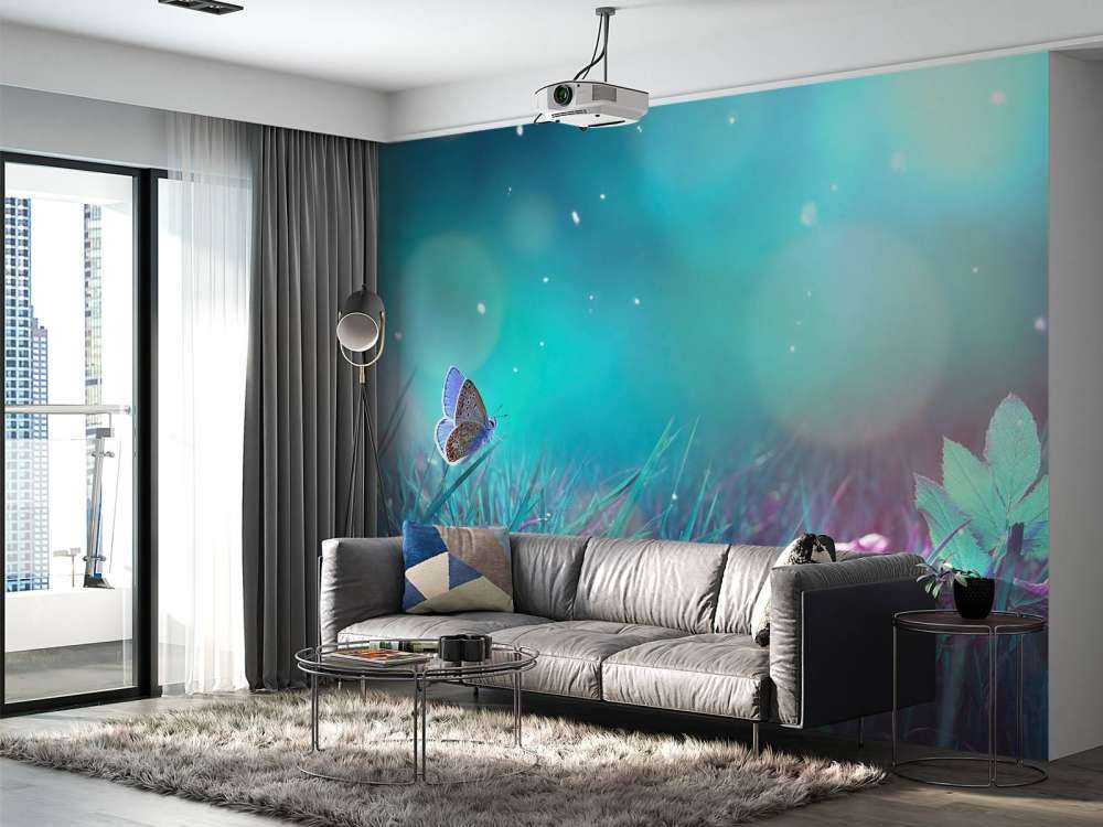 Butterfly in the morning dew