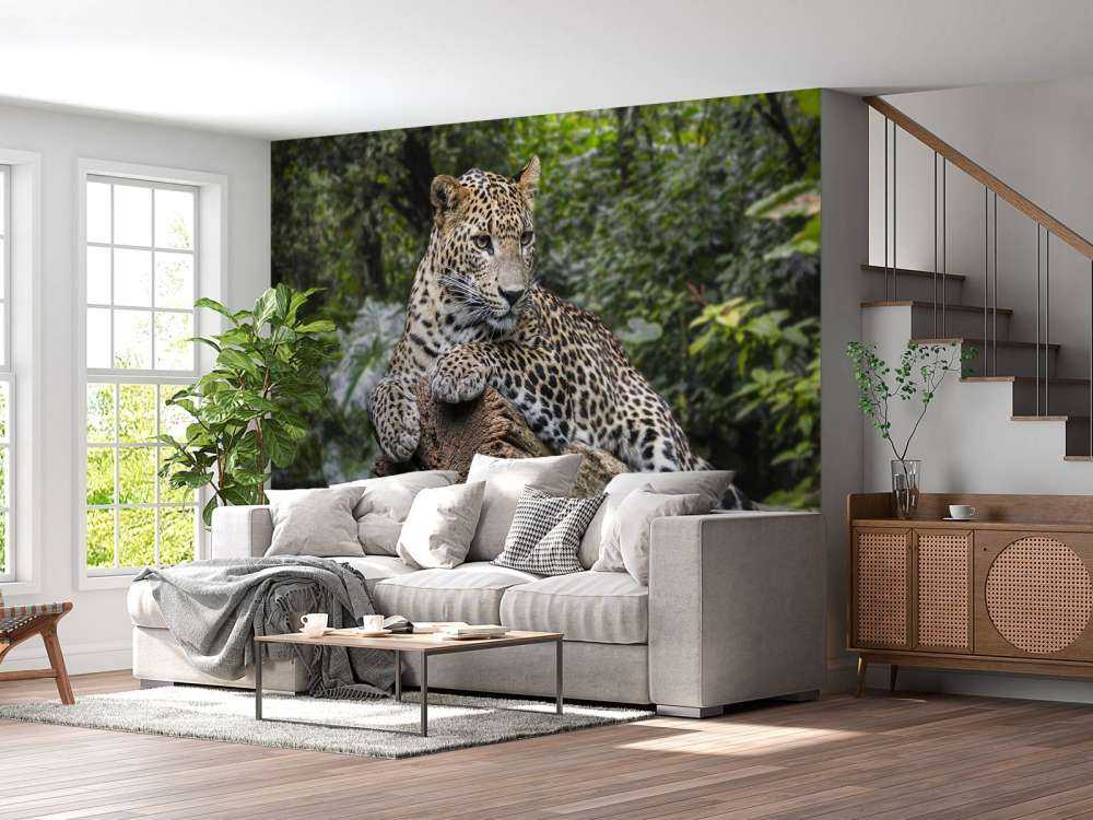 Leopard on tree