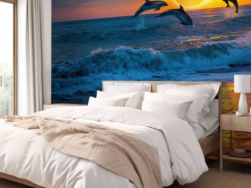 Dolphins with sunset