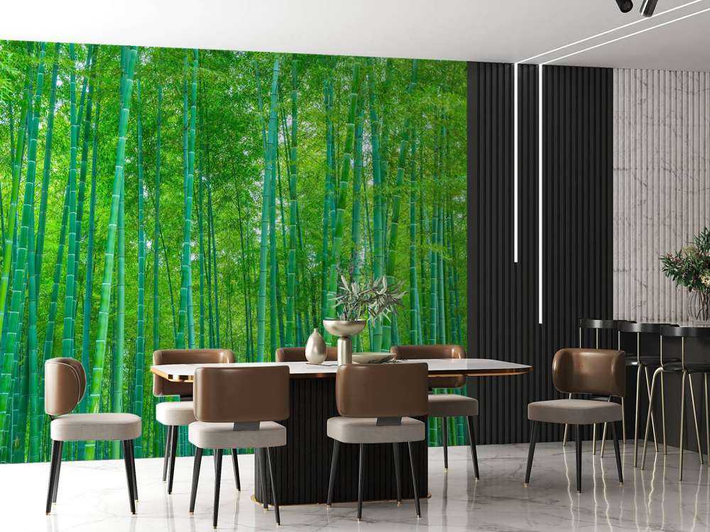 A green bamboo forest