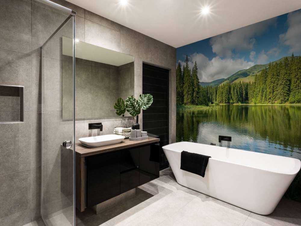 Lake in the forest