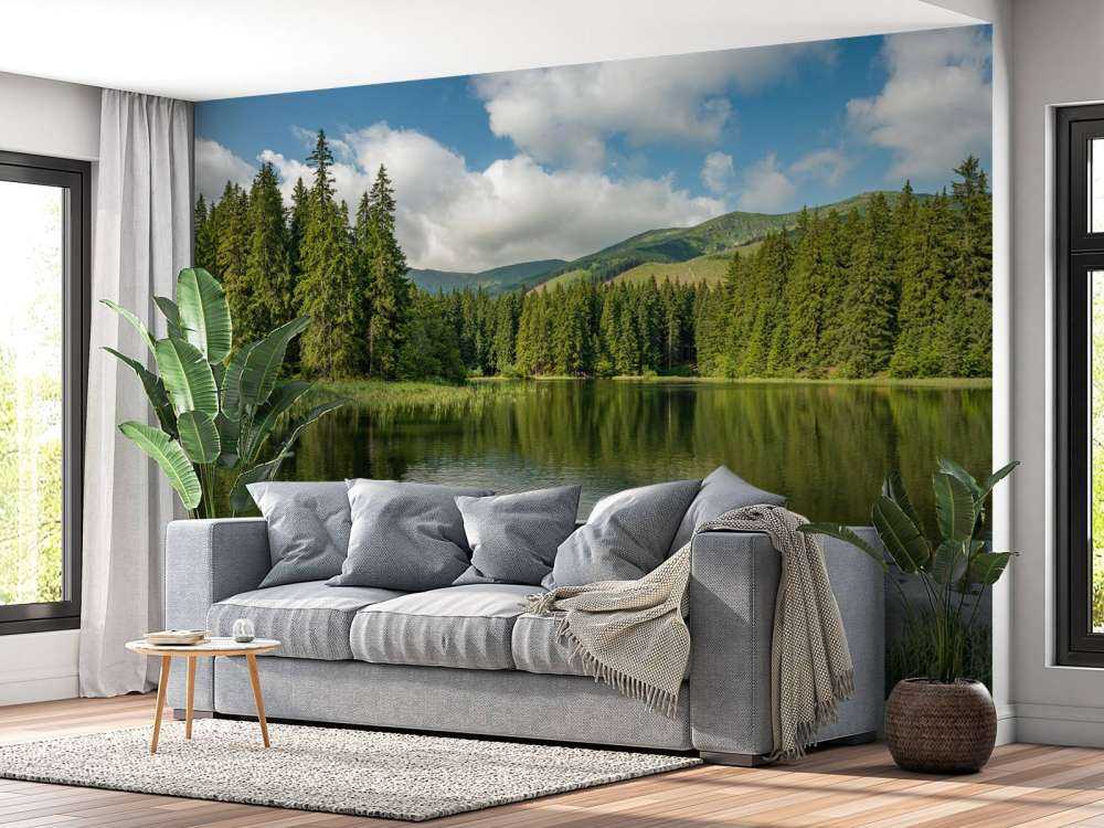 Lake in the forest
