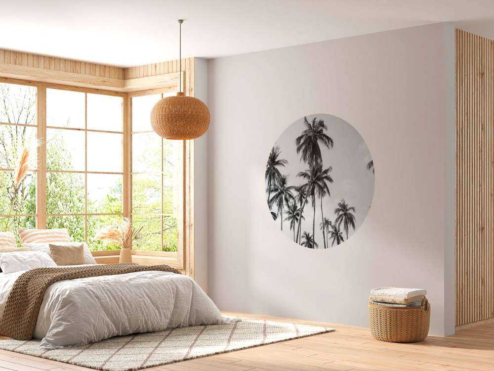 Palm trees in black and white