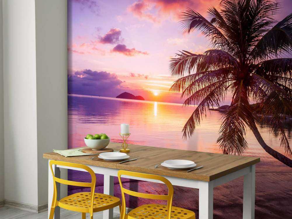 Palm tree at a sunset