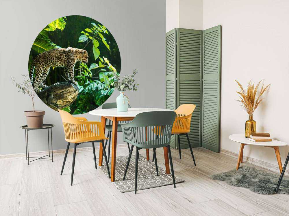 Leopard on a rock face