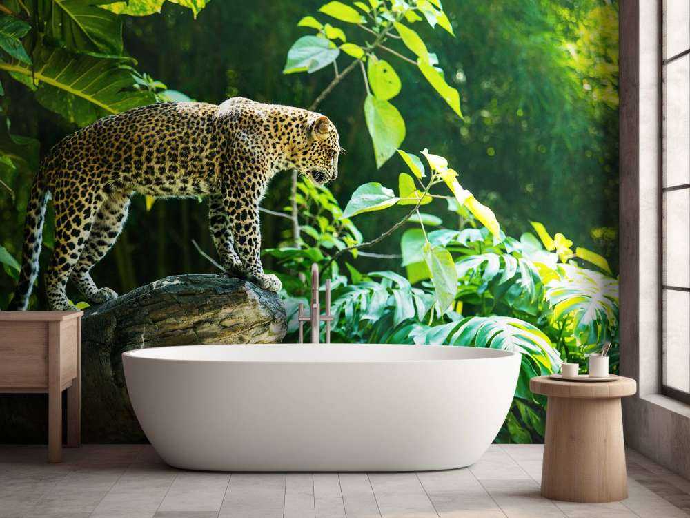 Leopard on a rock face