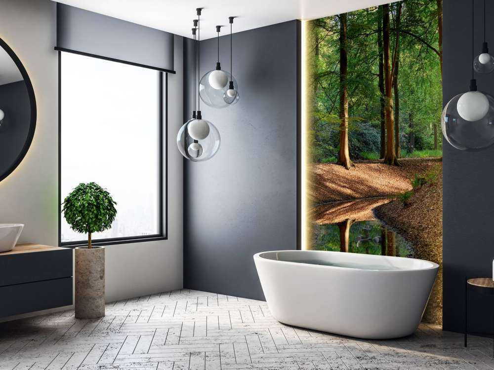 Brooklet in the forest 