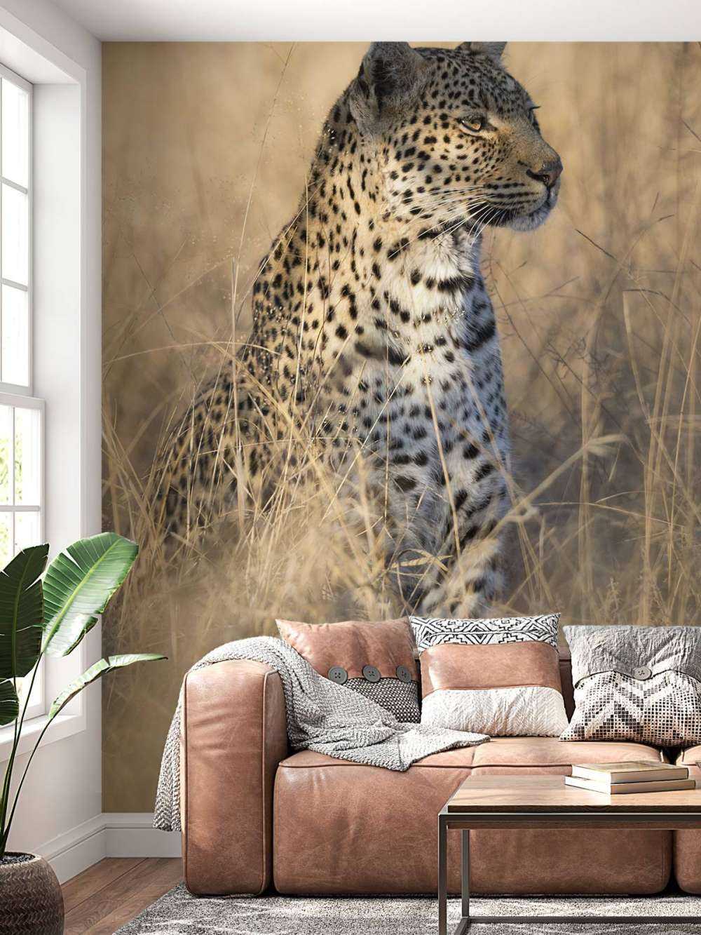 Hunting leopard