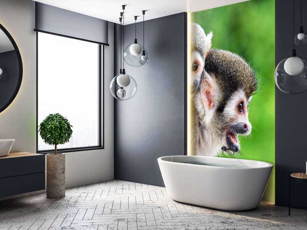 Squirrel monkeys