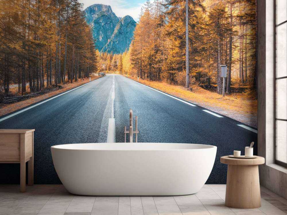 Road in autumn