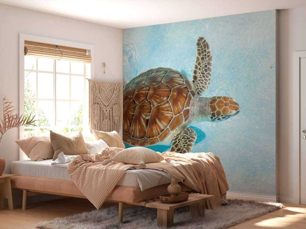 Turtle in the water