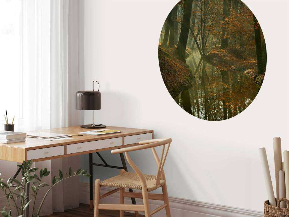 River through the forest