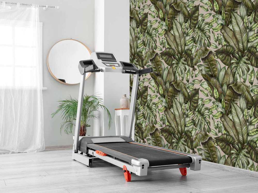 Verschillende tropische bladeren