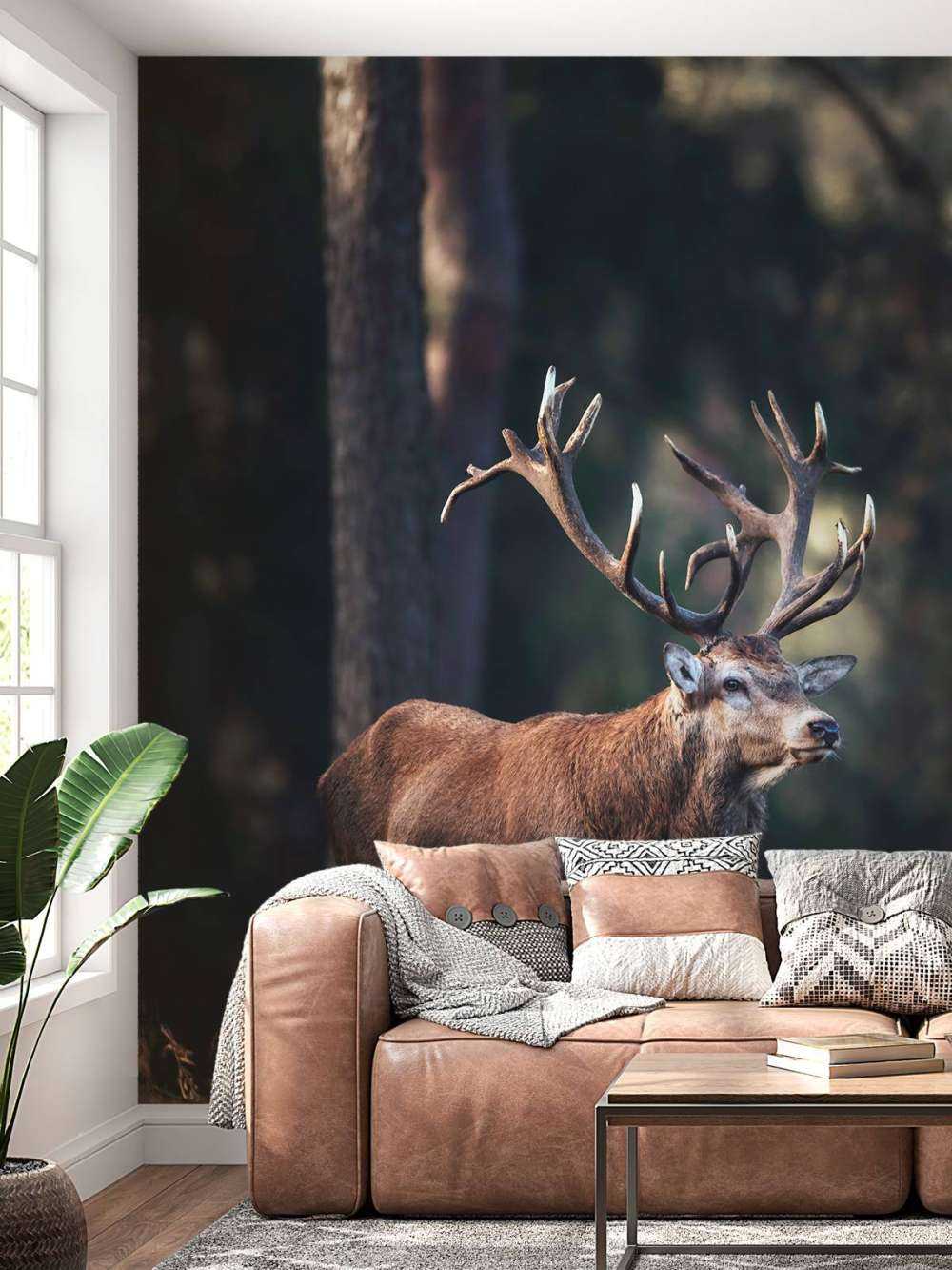 Deer on a hill