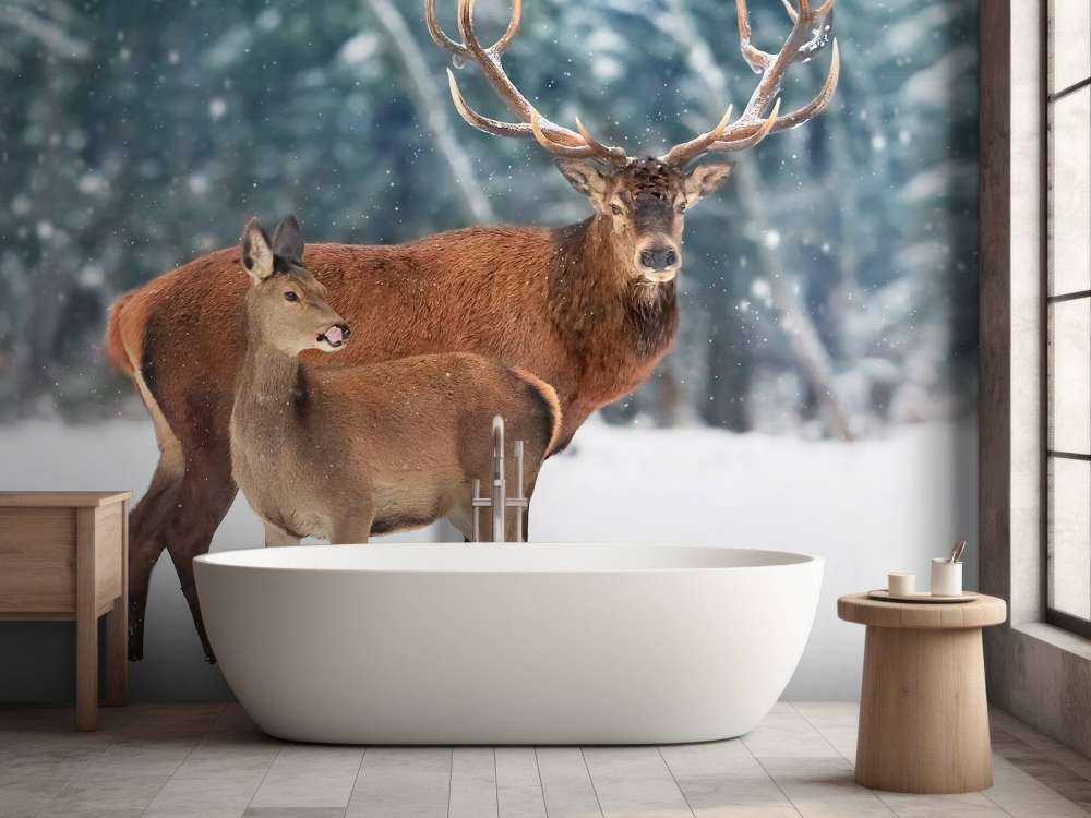 Deer with young