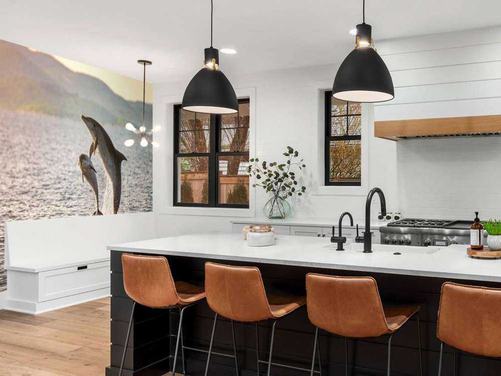 Two jumping dolphins