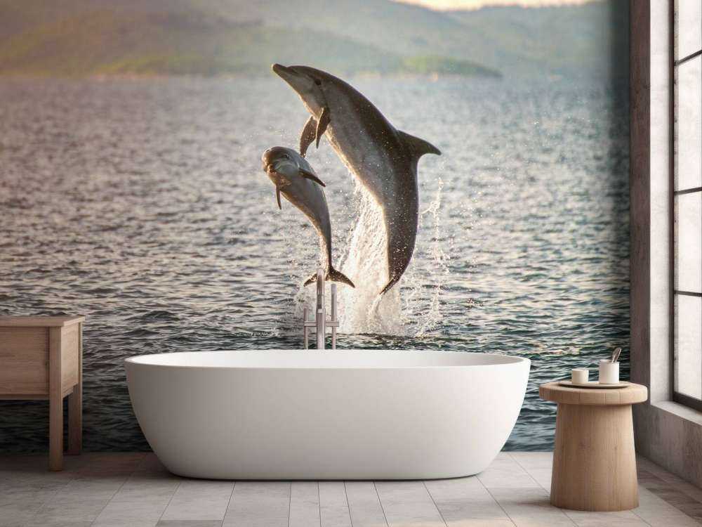 Two jumping dolphins