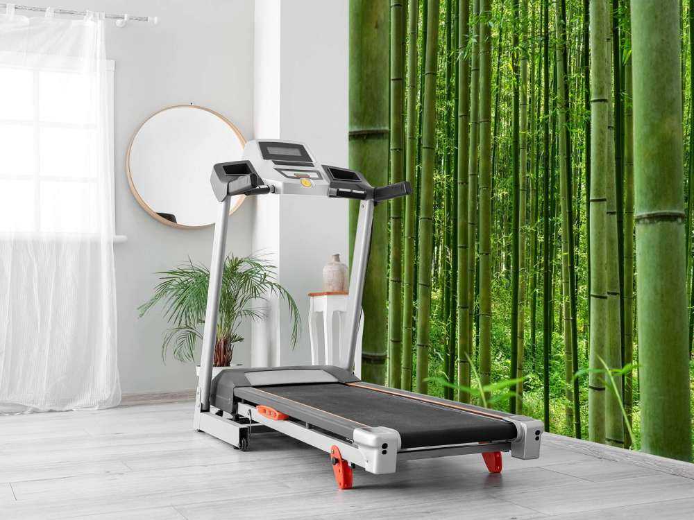 In the middle of the bamboo forest