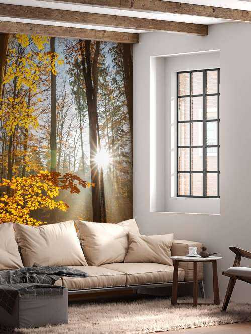 Autumn forest