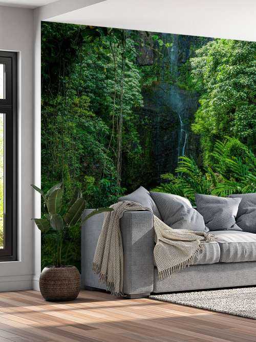 Jungle and stones
