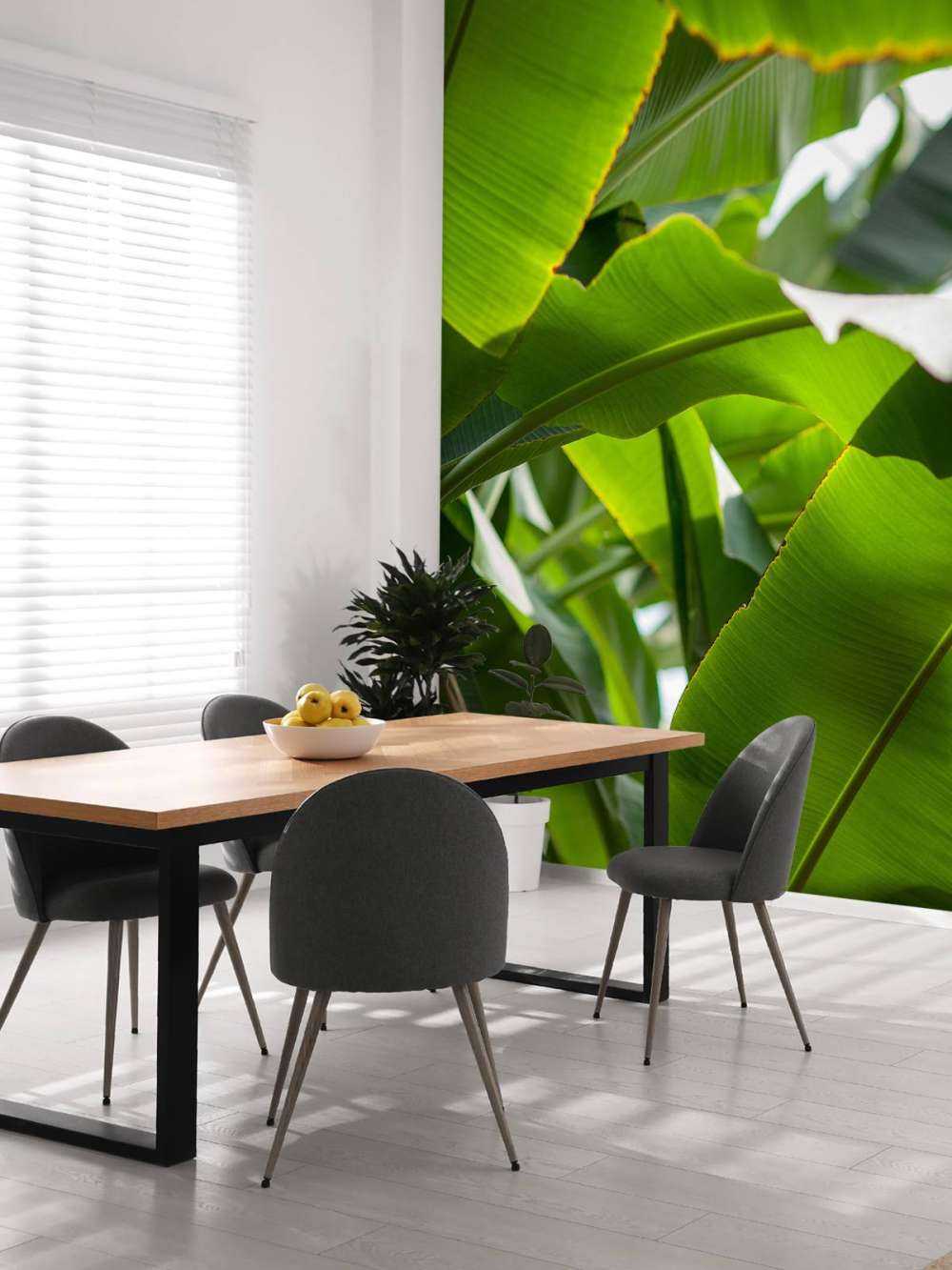 Palm leaves
