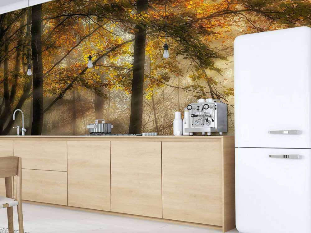 The lights of the forest