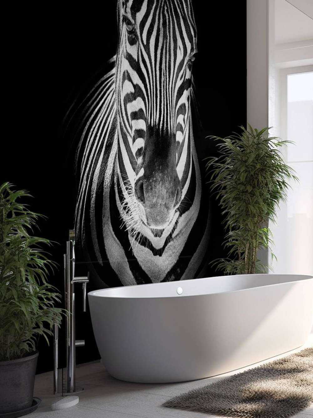 Close-up zebra black and white