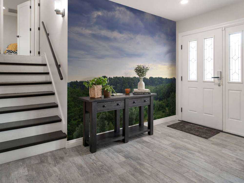 Dreigende wolken boven het bos