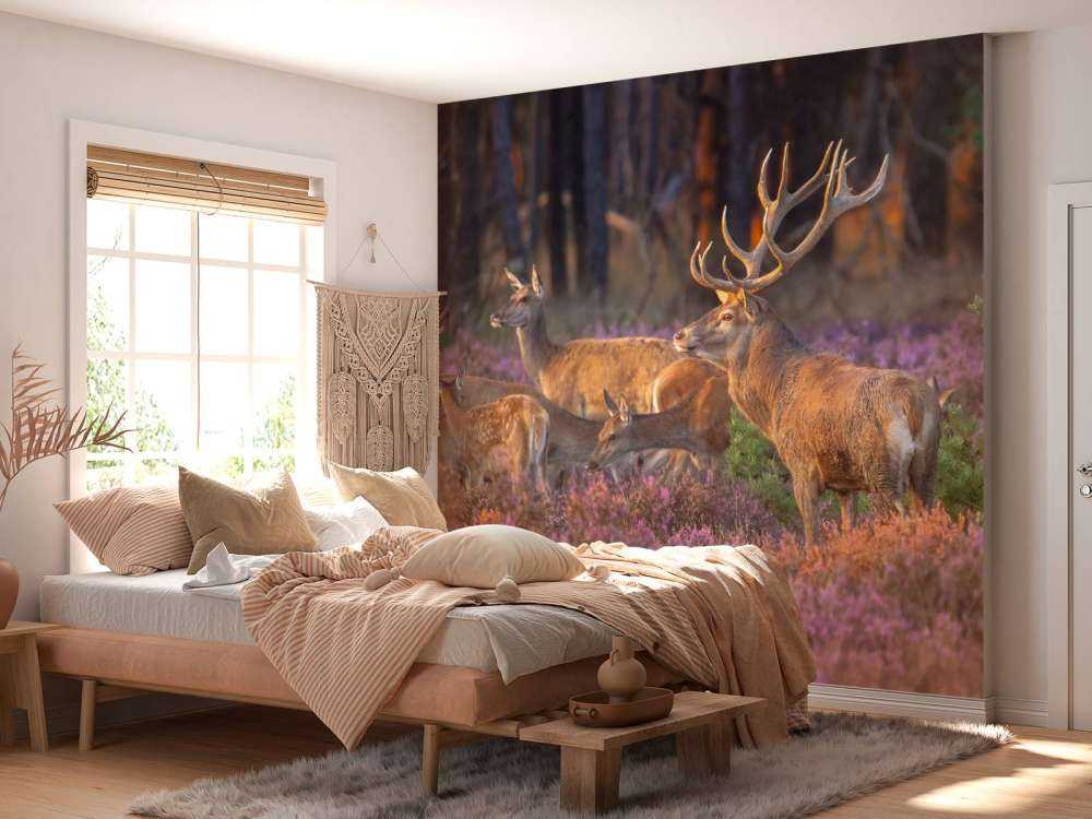 Groep herten op de Veluwe