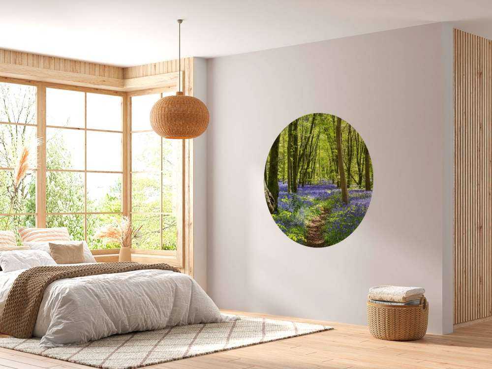Forest in the sunlight