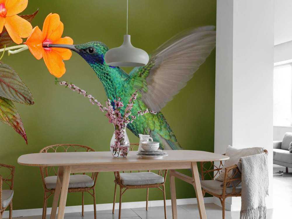 Kleurrijke Kolibrie op Bloem