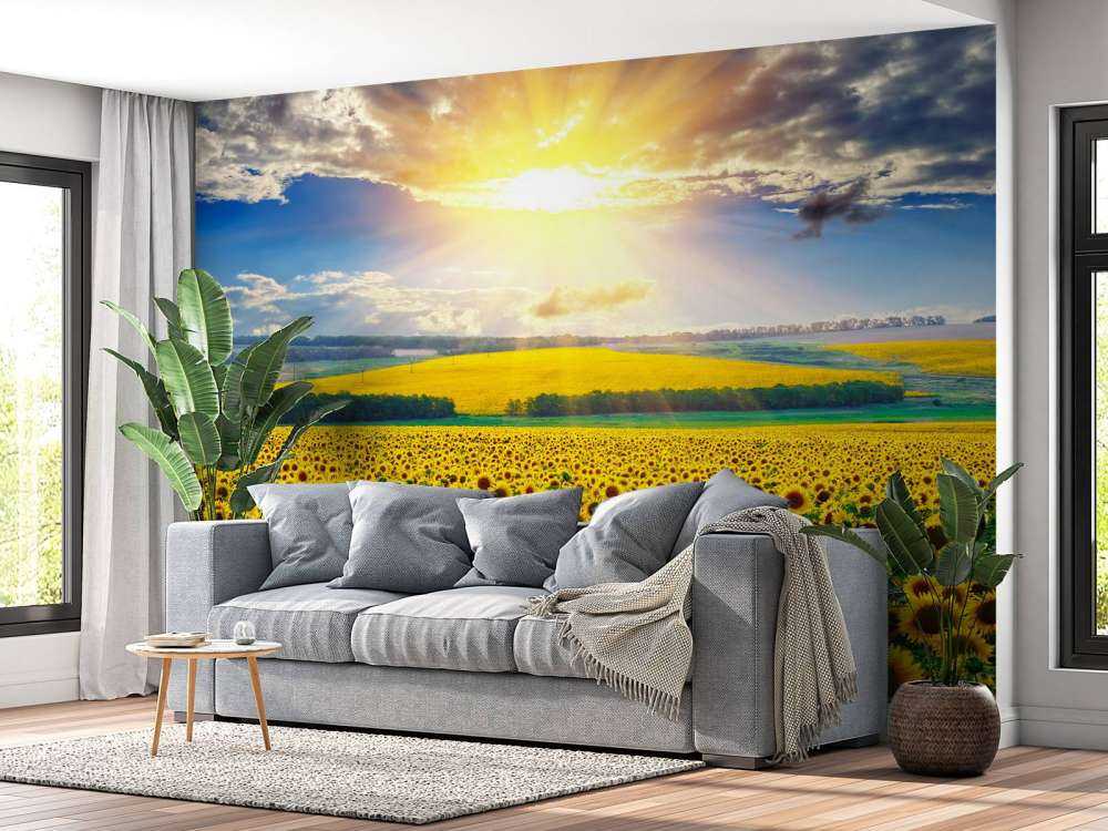 Zonnebloemen Veld met Opkomende Zon