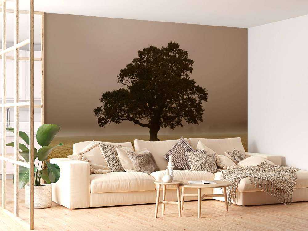 Tree in the Mist