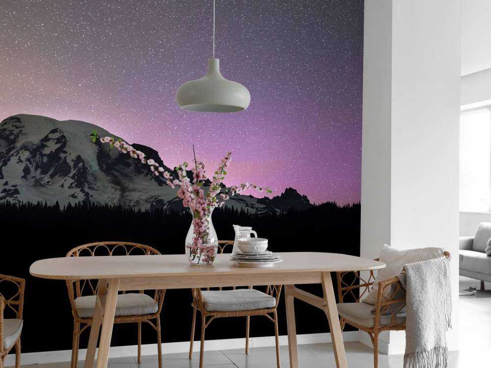 Mount Rainier with northern lights