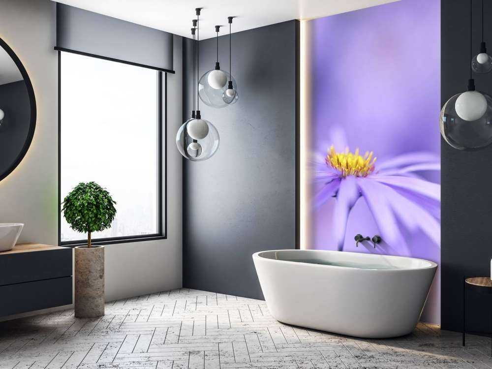 Purple Daisies