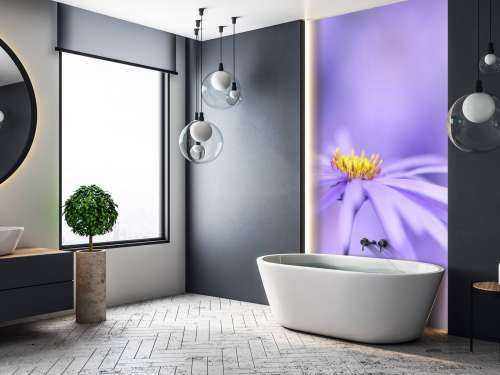 Purple Daisies