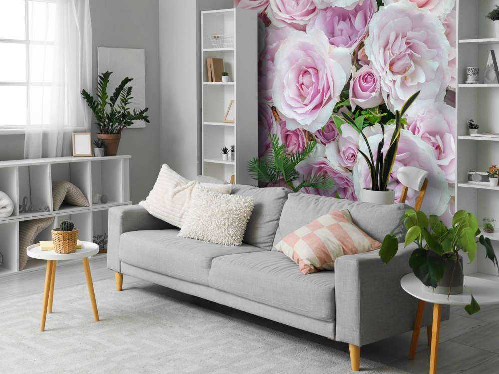 Colorful white and pink roses