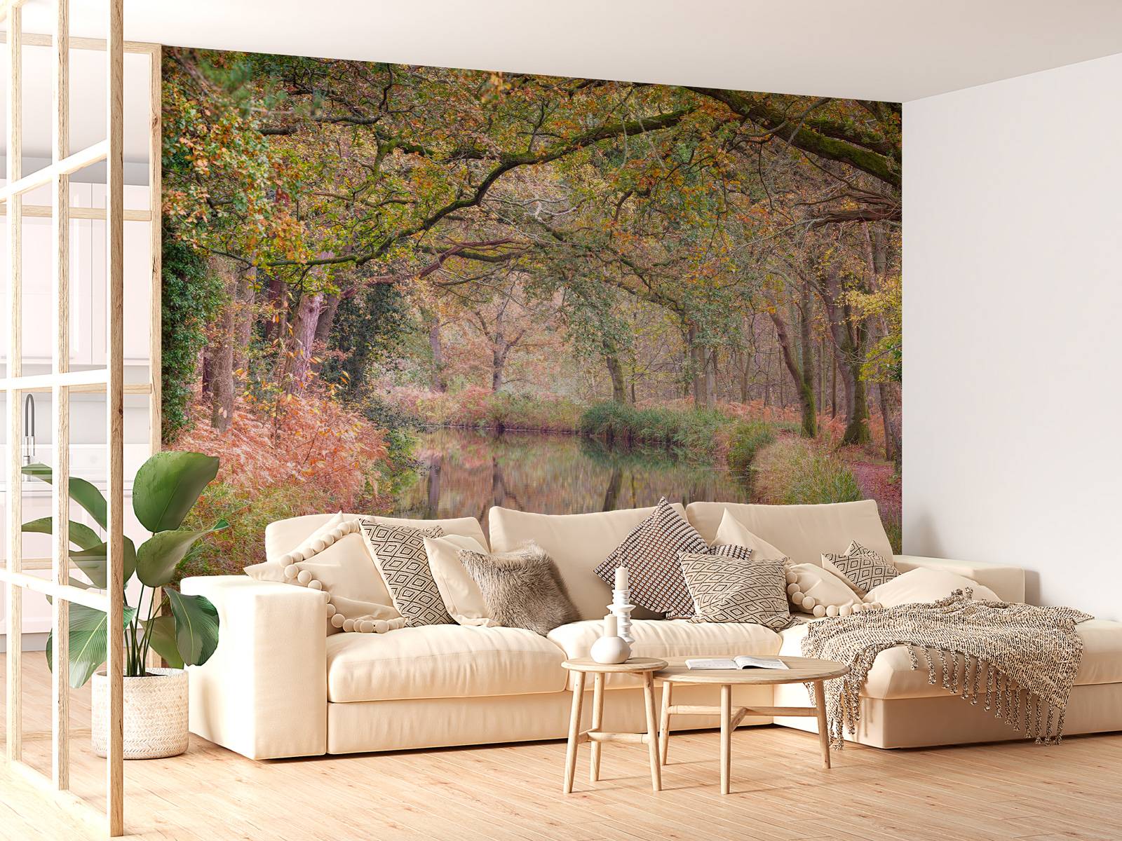 Covered colorful forest
