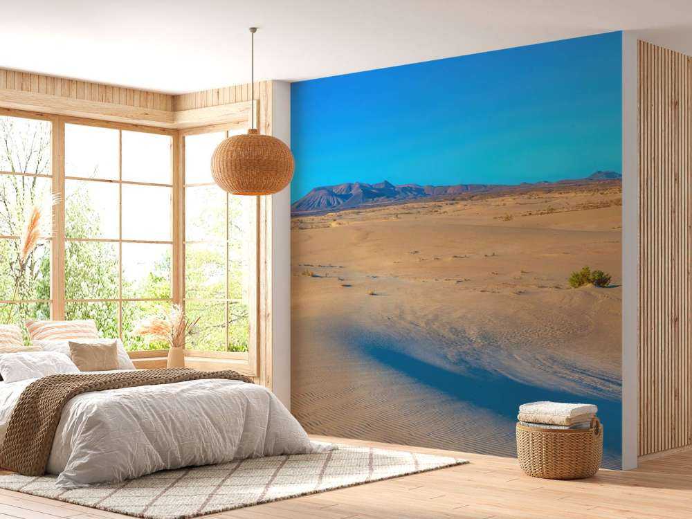 Sunrise over sand dunes