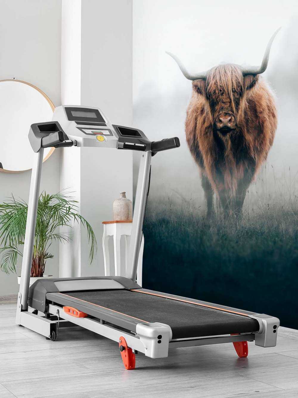 Scottish highlander in dense fog