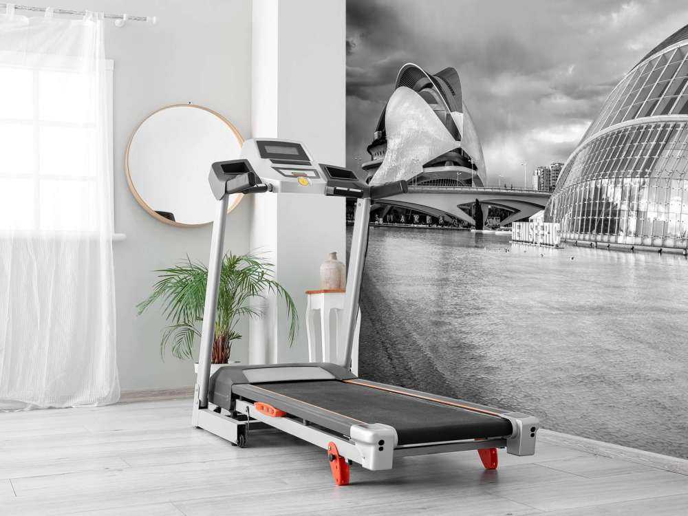 Opera House - Palau de les arts Reina Sofia & Hemisfèric - Valencia