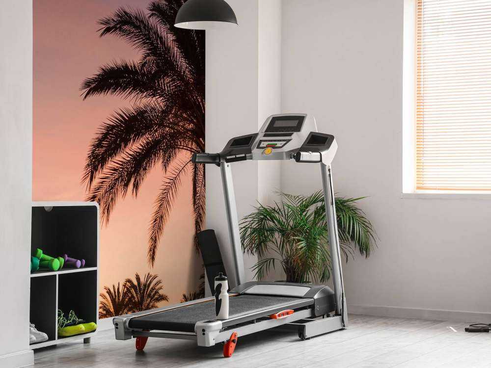 Palmbomen en zonsondergang