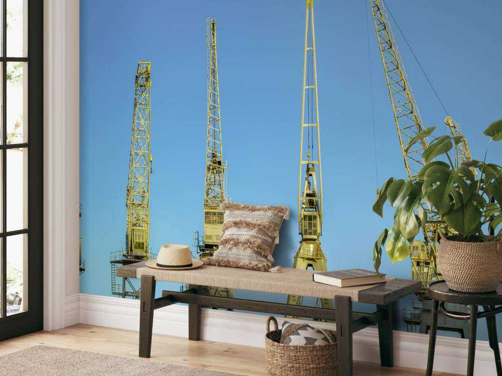 Kranen in de haven van Antwerpen