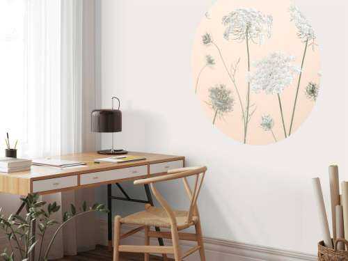 Cow parsley flowers on coloured background