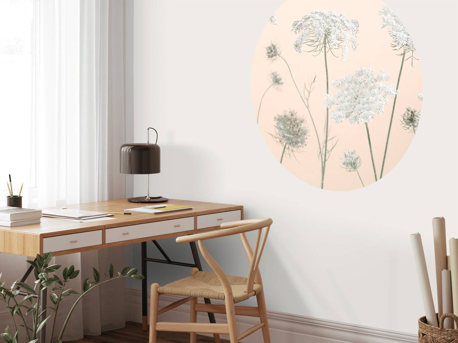 Cow parsley flowers on coloured background