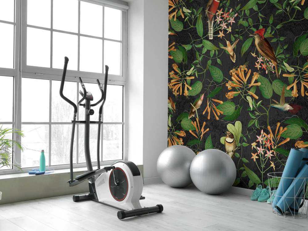 Midnight Garden Melody