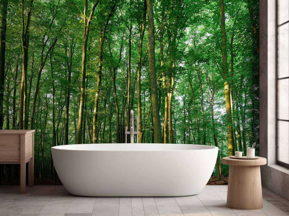 Green forest 